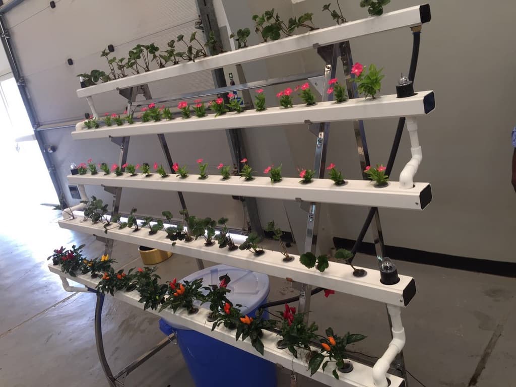 Real hydroponic PVC tiered growing system with flowering plants